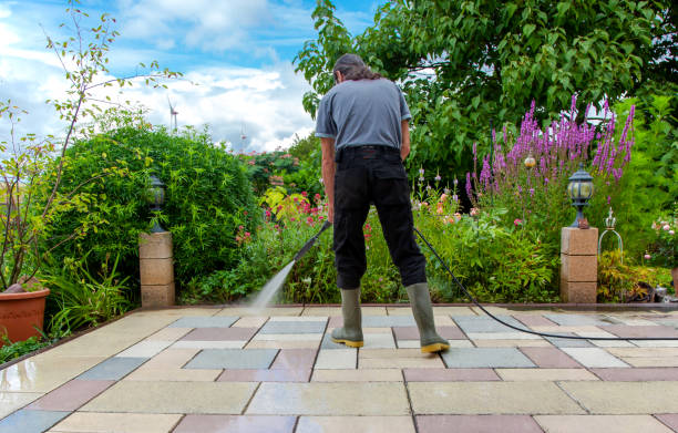 Animal Enclosure Cleaning in Woodside, PA